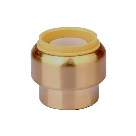 BOUTTé Raccord Toutub Bouchon Laiton Ø22 - BOUTTÉ 1 BOUTTé Raccord Toutub Bouchon Laiton Ø22 - BOUTTÉ